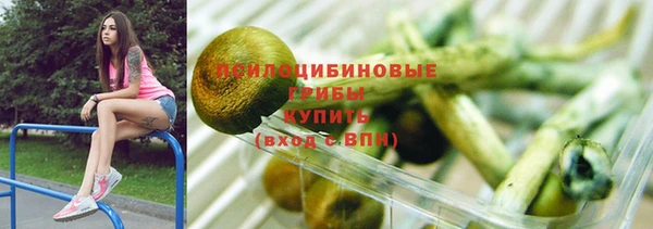 твердый Абаза