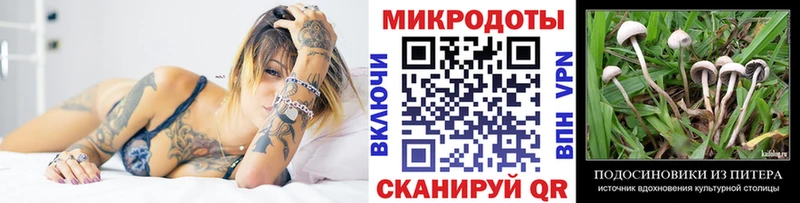 Псилоцибиновые грибы MAGIC MUSHROOMS  цены наркотик  гидра как войти  Кисловодск 