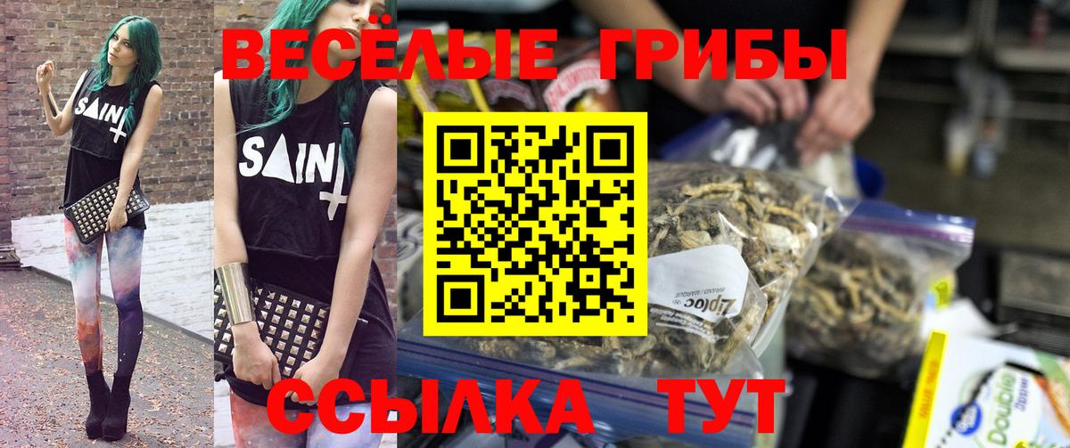 Кисловодск  наркотики  Вход с VPN  Галлюциногенные грибы GOLDEN TEACHER 